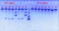 Thumbnail for version as of 11:02, 7 May 2012