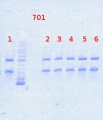 Thumbnail for version as of 12:00, 21 October 2013