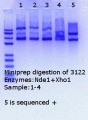 Thumbnail for version as of 16:33, 20 April 2018