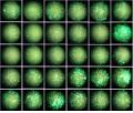 Thumbnail for version as of 11:23, 16 May 2016