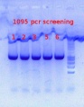 Thumbnail for version as of 16:09, 8 November 2012