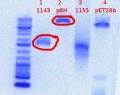 Thumbnail for version as of 10:34, 7 June 2012