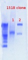 Thumbnail for version as of 12:25, 20 December 2012