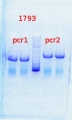 Thumbnail for version as of 14:53, 19 August 2013