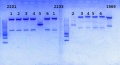 Thumbnail for version as of 15:11, 8 August 2014