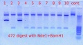 Thumbnail for version as of 15:42, 5 January 2012