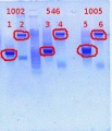 Thumbnail for version as of 16:28, 15 February 2012