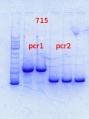 Thumbnail for version as of 10:06, 15 January 2014