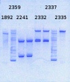 Thumbnail for version as of 16:32, 10 October 2014