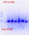 Thumbnail for version as of 13:28, 6 June 2018