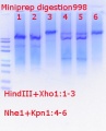 Thumbnail for version as of 14:26, 7 August 2018