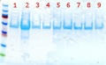 Thumbnail for version as of 14:50, 25 July 2011
