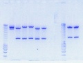 Thumbnail for version as of 15:42, 31 October 2010