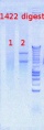 Thumbnail for version as of 15:42, 17 October 2012