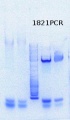 Thumbnail for version as of 13:19, 14 August 2013