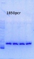 Thumbnail for version as of 16:06, 23 September 2013