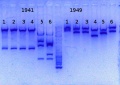 Thumbnail for version as of 15:15, 6 December 2013