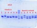 Thumbnail for version as of 17:54, 28 February 2014