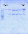 Thumbnail for version as of 11:59, 24 January 2014