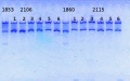Thumbnail for version as of 12:48, 10 March 2014