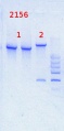 Thumbnail for version as of 14:17, 7 May 2014