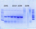 Thumbnail for version as of 14:13, 8 August 2014