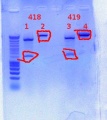 Thumbnail for version as of 15:53, 10 November 2011