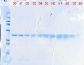 Thumbnail for version as of 10:10, 3 March 2011