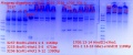 Thumbnail for version as of 13:54, 20 August 2018