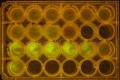Thumbnail for version as of 12:10, 22 August 2014