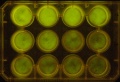 Thumbnail for version as of 11:31, 30 November 2011