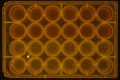 Thumbnail for version as of 13:55, 8 April 2016