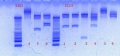 Thumbnail for version as of 18:22, 18 January 2013