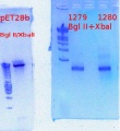 Thumbnail for version as of 12:20, 11 October 2012