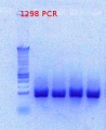 Thumbnail for version as of 14:47, 14 November 2012