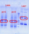 Thumbnail for version as of 09:29, 4 December 2012