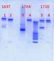 Thumbnail for version as of 14:14, 22 March 2013