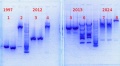 Thumbnail for version as of 17:25, 17 January 2014
