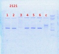 Thumbnail for version as of 10:57, 28 March 2014