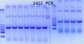 Thumbnail for version as of 16:52, 4 May 2015
