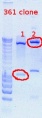 Thumbnail for version as of 14:06, 2 December 2011
