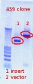 Thumbnail for version as of 14:07, 7 December 2011