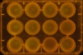 Thumbnail for version as of 12:03, 15 December 2011