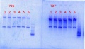 Thumbnail for version as of 11:35, 4 February 2014