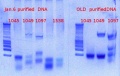 Thumbnail for version as of 17:14, 9 January 2013