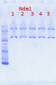 Thumbnail for version as of 16:04, 12 May 2012
