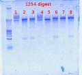 Thumbnail for version as of 13:30, 12 July 2012