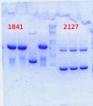 Thumbnail for version as of 15:07, 24 March 2014