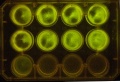 Thumbnail for version as of 19:11, 9 January 2012