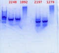 Thumbnail for version as of 15:12, 7 July 2014